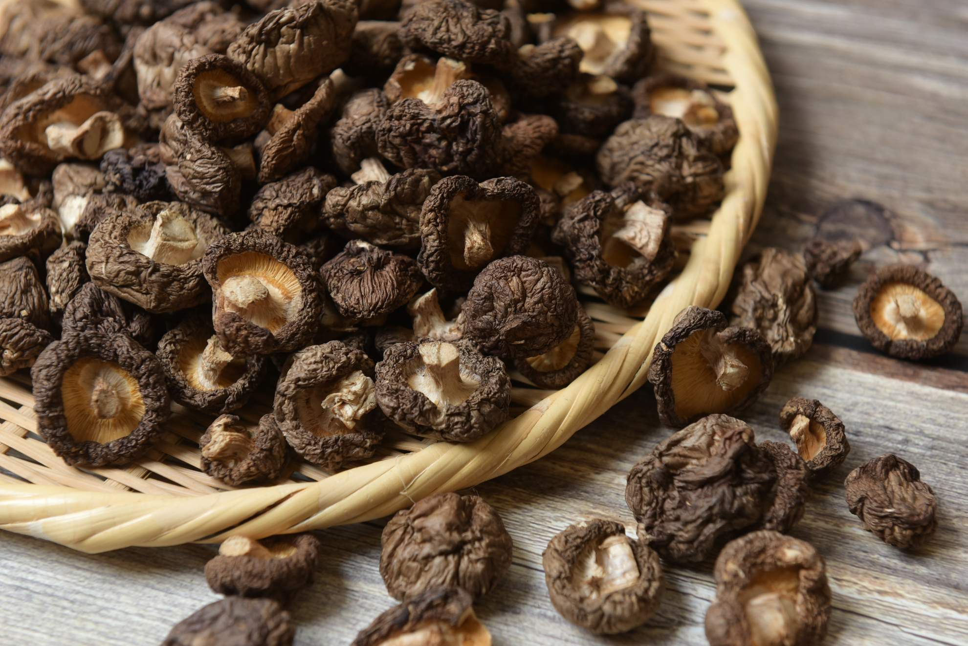 台灣香菇(鈕菇有腳) 冬